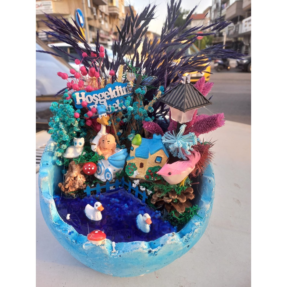 Erkek Bebek Teraryum 17